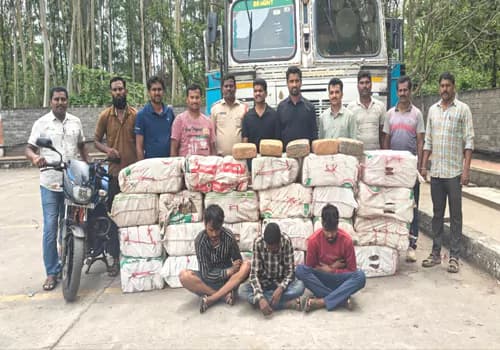 పుష్పస్టైల్ లో గంజాయిస్మగ్లింగ్... 525 కిలోలుస్వాధీనం